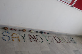 Mohali-41