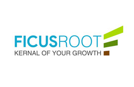 ficusroot